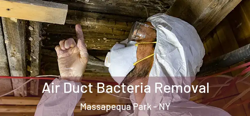  Air Duct Bacteria Removal Massapequa Park - NY