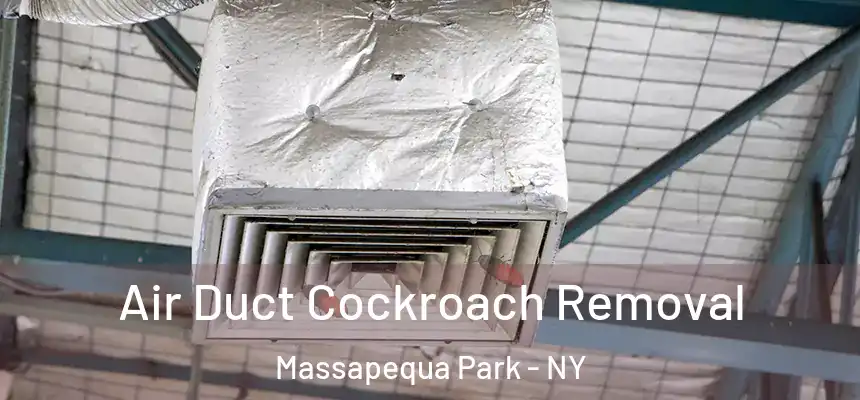  Air Duct Cockroach Removal Massapequa Park - NY