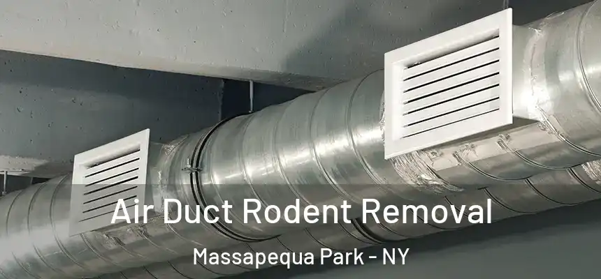  Air Duct Rodent Removal Massapequa Park - NY