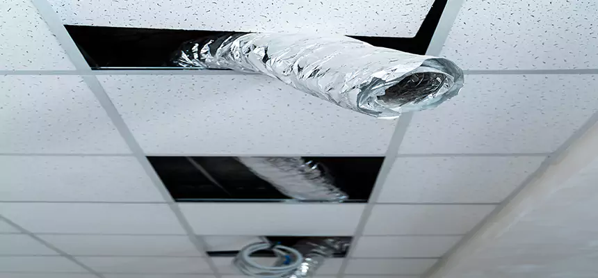 Affordable HVAC Sanitizing After Pest Removal in Massapequa Park