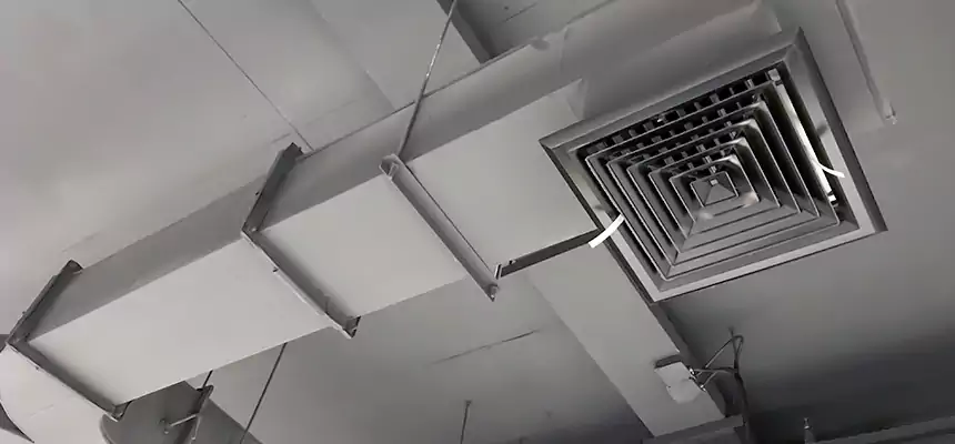 Restorative Allergy Relief Vent Cleaning – Coil, Blower & Housing Detail in Massapequa Park