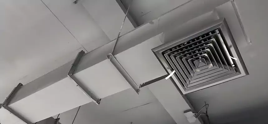 Our Rodent Droppings In Vents Services in Massapequa Park, NY