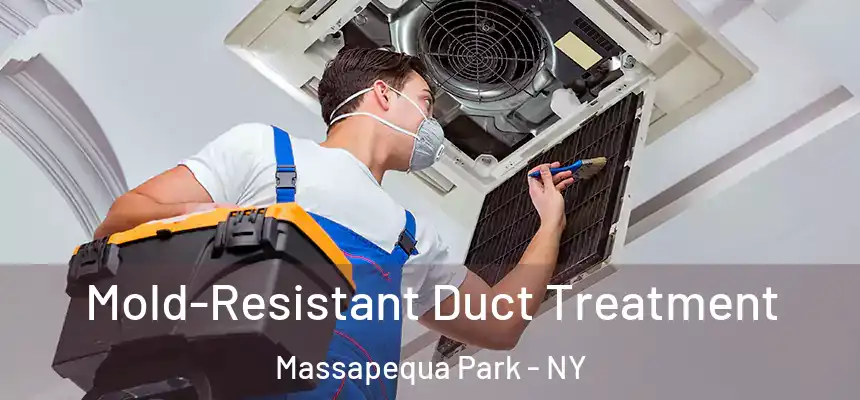  Mold-Resistant Duct Treatment Massapequa Park - NY
