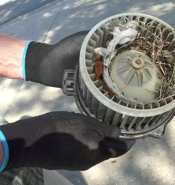 About Air Duct Mice Removal in Massapequa Park, NY