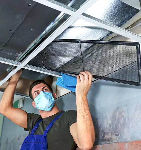 Professional Air Duct Pollen Cleaning in Massapequa Park, NY