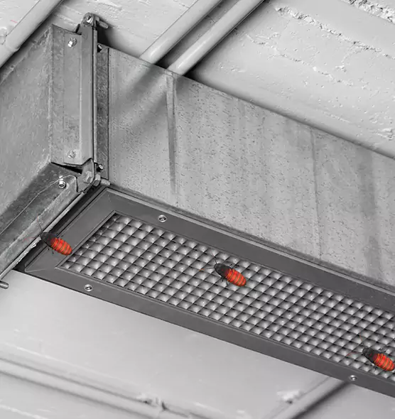 Affordable Insect Removal from Air Ducts in Massapequa Park, NY