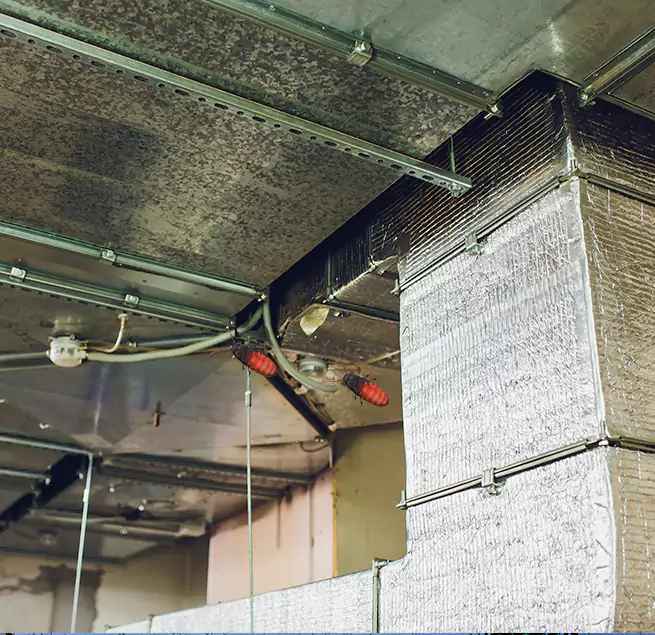 Why Homeowners & Businesses Trust Us in Massapequa Park, NY?