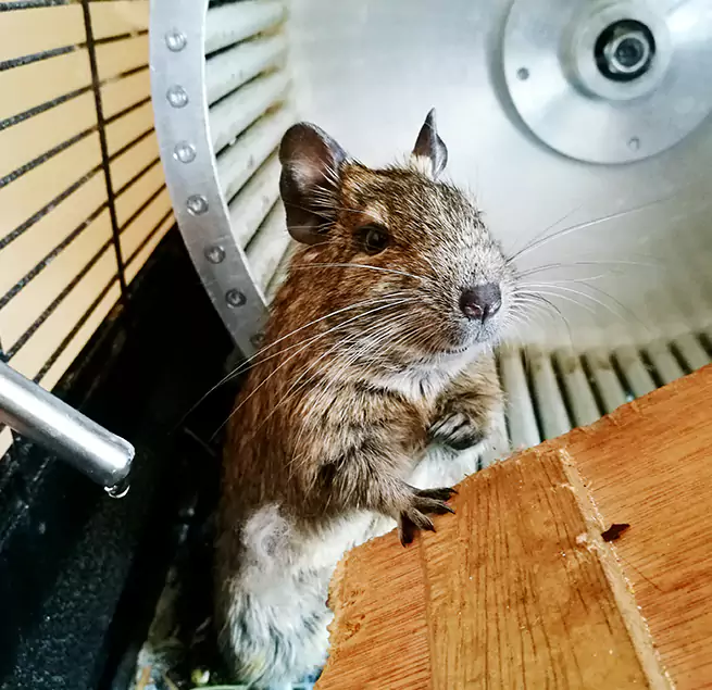 Why Homeowners & Businesses Trust Us Massapequa Park, NY